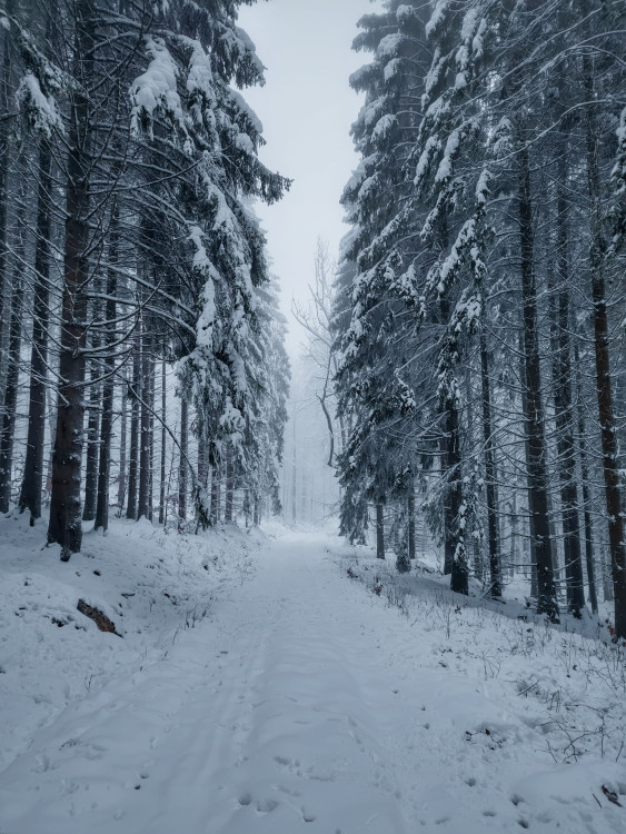 FOTOGALERIE: Zima na Rabštejně je kouzelná
