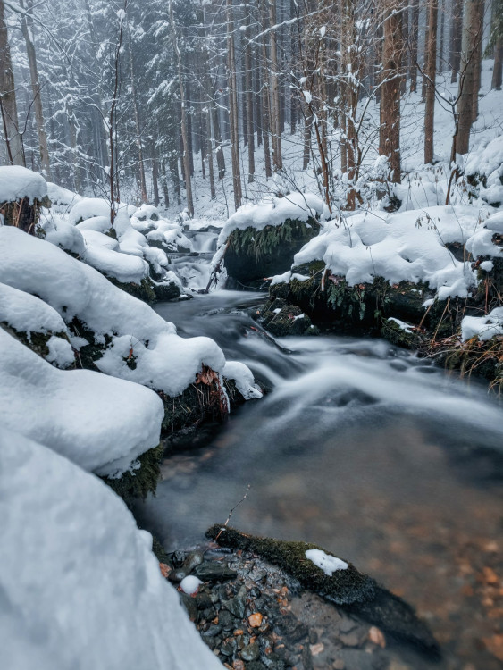 FOTOGALERIE: Zima na Rabštejně je kouzelná