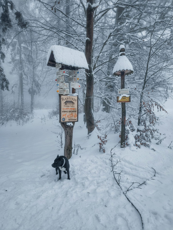 FOTOGALERIE: Zima na Rabštejně je kouzelná