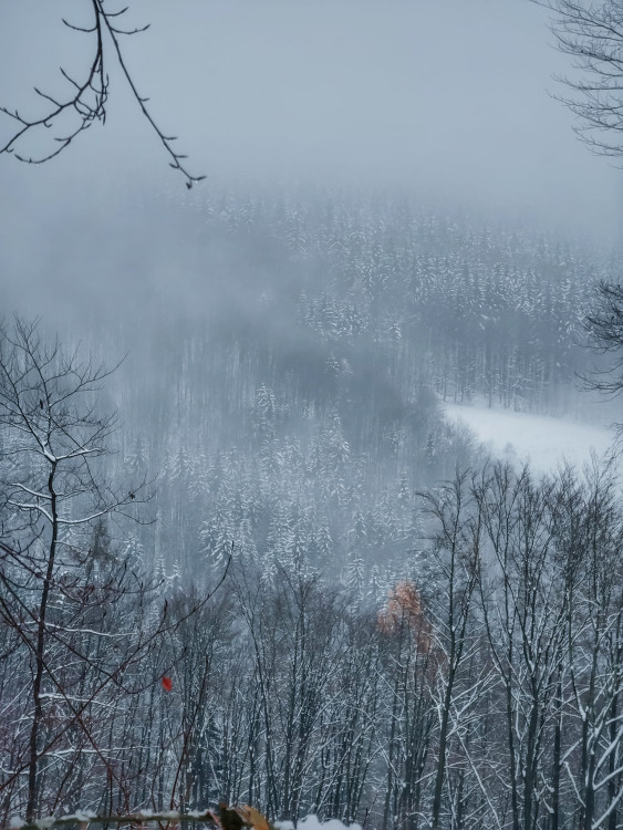 FOTOGALERIE: Zima na Rabštejně je kouzelná