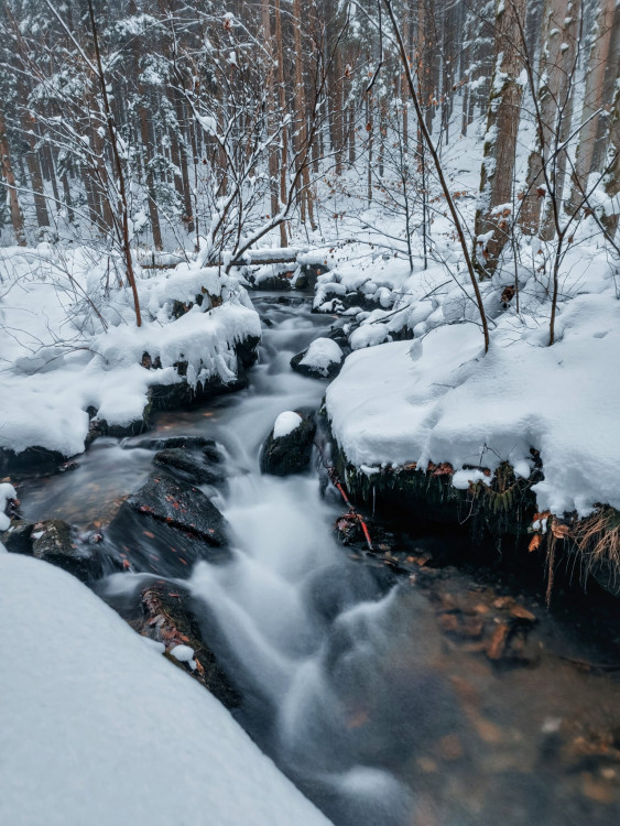 FOTOGALERIE: Zima na Rabštejně je kouzelná