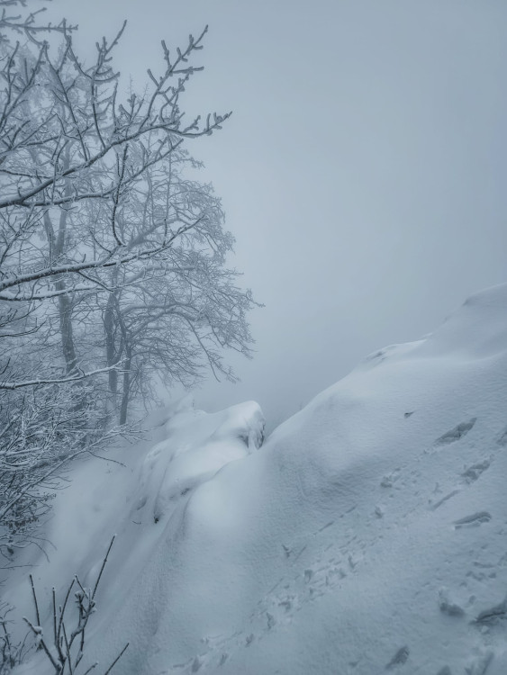 FOTOGALERIE: Zima na Rabštejně je kouzelná