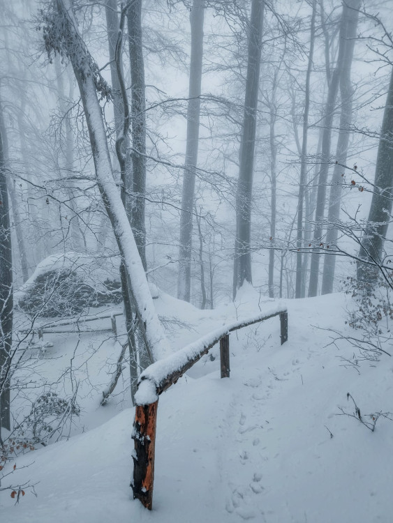 FOTOGALERIE: Zima na Rabštejně je kouzelná