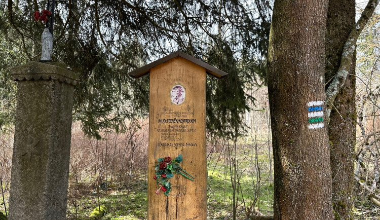 Prkno na památku lékaře Zdeňka Kostroucha