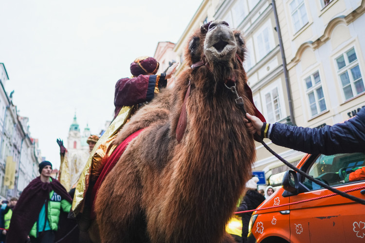 FOTOGALERIE: Prahou prošel tříkrálový průvod, nechyběli velbloudi