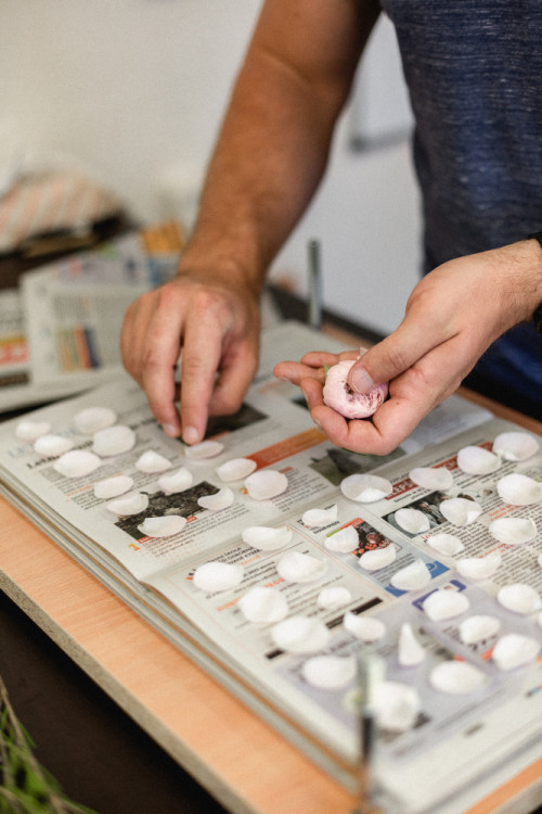 FOTOGALERIE: Veronika s Petrem vyrábí úchvatné obrazy z lisovaných květin. Na výlety chodíme s batohy plných knih, říkají