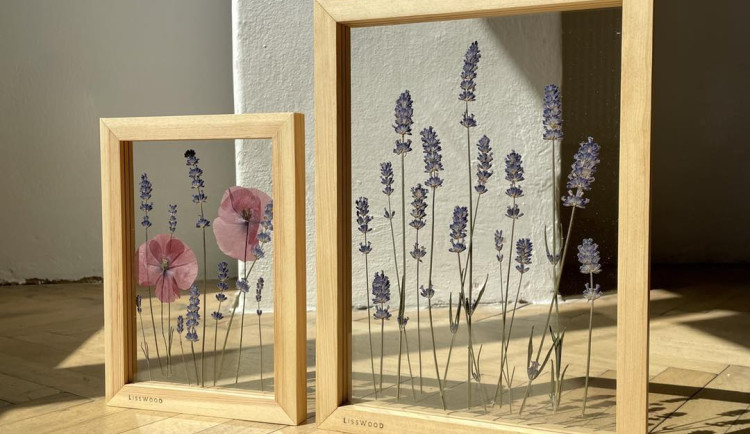 FOTOGALERIE: Veronika s Petrem vyrábí úchvatné obrazy z lisovaných květin. Na výlety chodíme s batohy plných knih, říkají