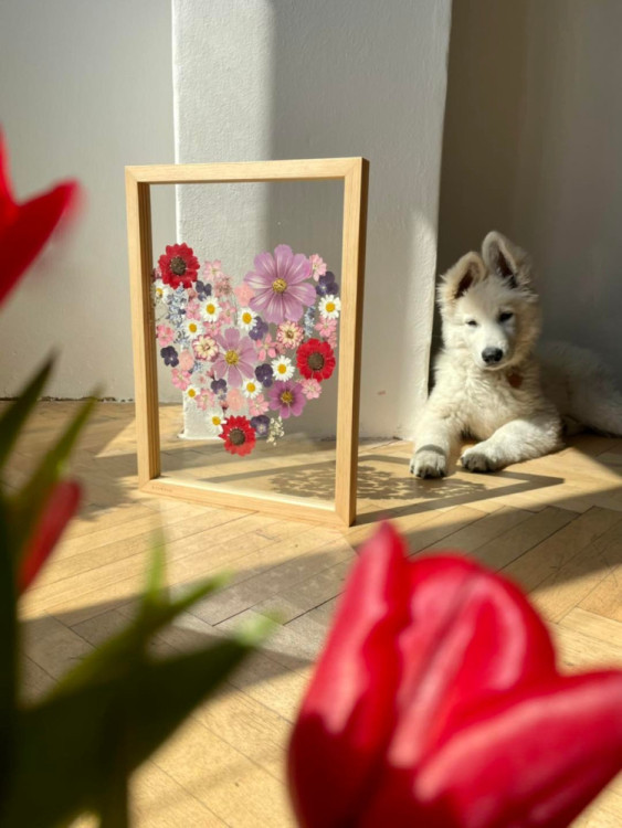 FOTOGALERIE: Veronika s Petrem vyrábí úchvatné obrazy z lisovaných květin. Na výlety chodíme s batohy plných knih, říkají