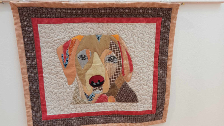 FOTOGALERIE: Nevídané domácí úkoly prostějovských pedagogů