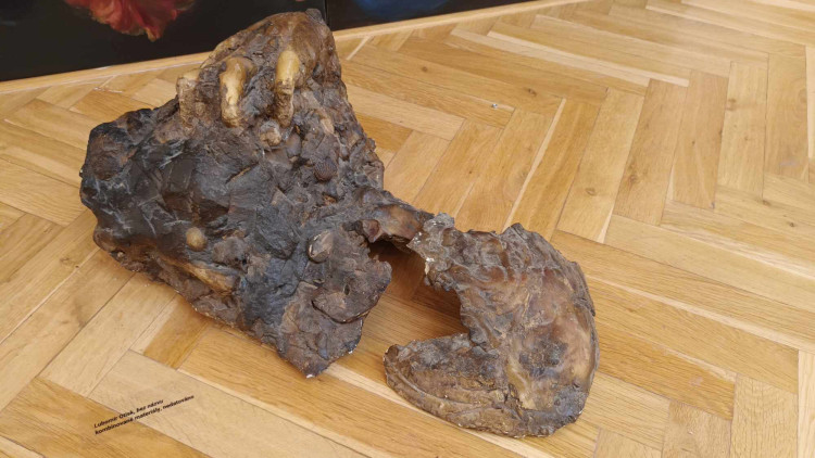 FOTOGALERIE: Nevídané domácí úkoly prostějovských pedagogů