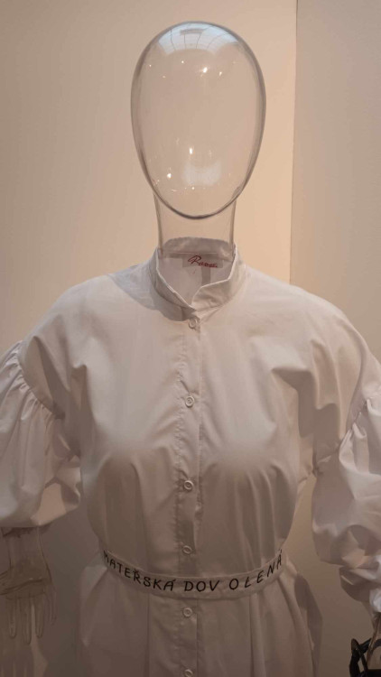 FOTOGALERIE: Nevídané domácí úkoly prostějovských pedagogů