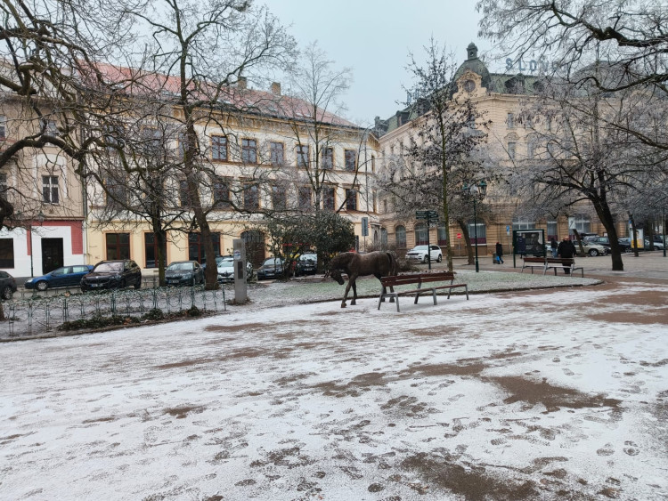 FOTOGALERIE: Plzeň zažila průmyslové sněžení