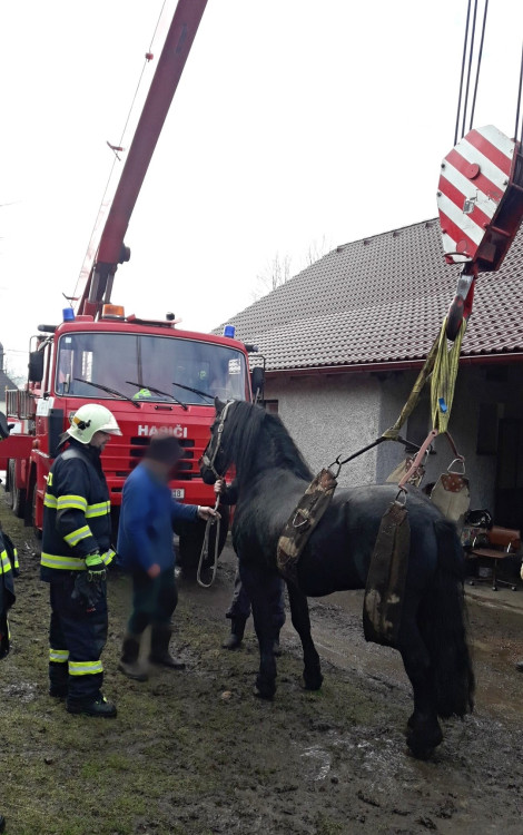 FOTOGALERIE: Hasiči pomáhali koni na nohy