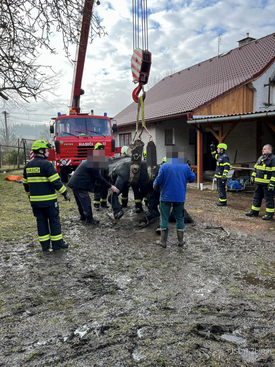 FOTOGALERIE: Hasiči pomáhali koni na nohy