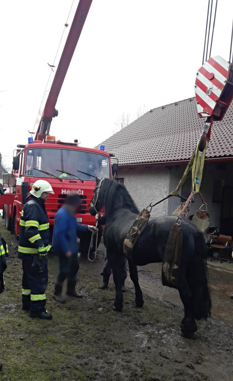 FOTOGALERIE: Hasiči pomáhali koni na nohy
