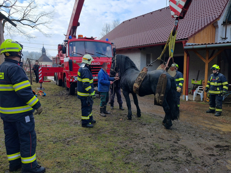 FOTOGALERIE: Hasiči pomáhali koni na nohy