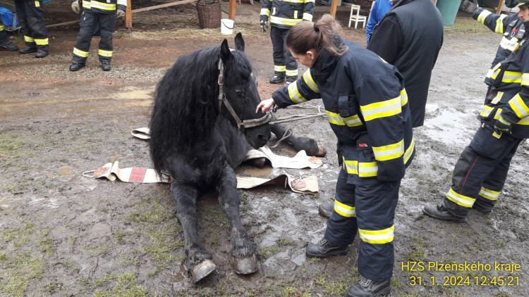 FOTOGALERIE: Hasiči pomáhali koni na nohy
