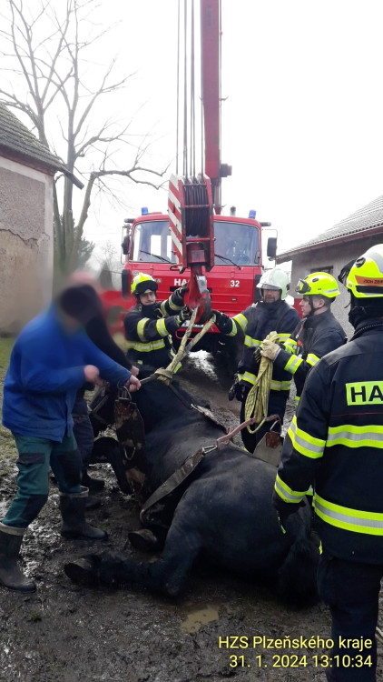 FOTOGALERIE: Hasiči pomáhali koni na nohy