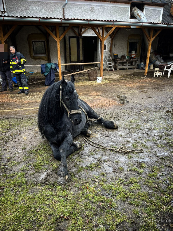 FOTOGALERIE: Hasiči pomáhali koni na nohy