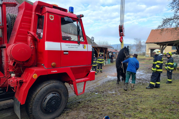 FOTOGALERIE: Hasiči pomáhali koni na nohy