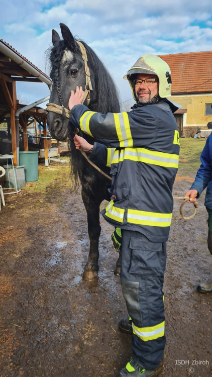 FOTOGALERIE: Hasiči pomáhali koni na nohy