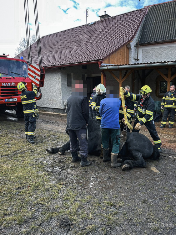FOTOGALERIE: Hasiči pomáhali koni na nohy