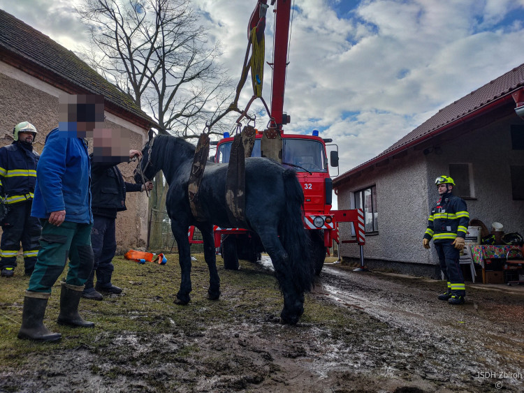 FOTOGALERIE: Hasiči pomáhali koni na nohy