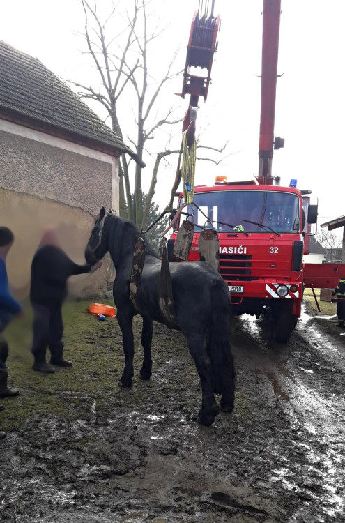 FOTOGALERIE: Hasiči pomáhali koni na nohy