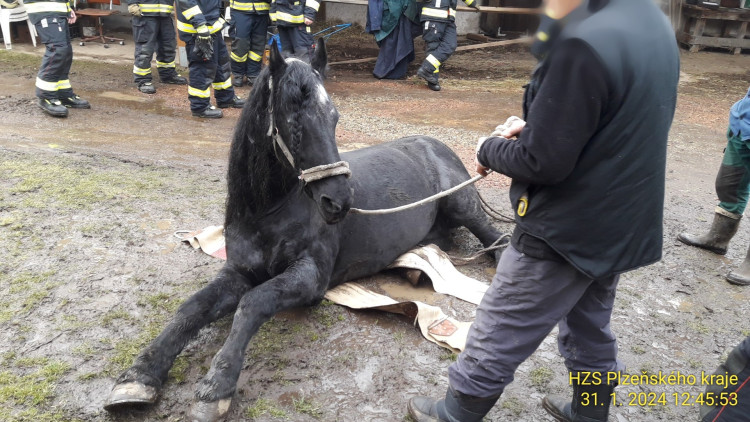 FOTOGALERIE: Hasiči pomáhali koni na nohy