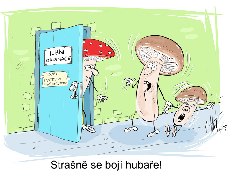 FOTOGALERIE: První v únoru středa, humoru a legrace je třeba