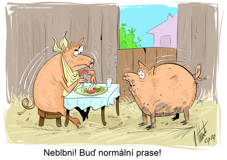 FOTOGALERIE: První v únoru středa, humoru a legrace je třeba