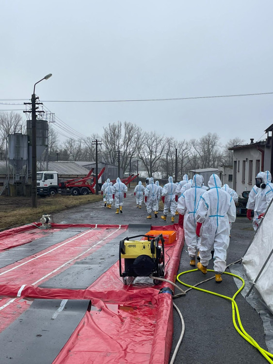 Likvidace chovu kachen ve Valdíkově na Třebíčsku