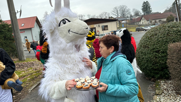 FOTOGALERIE: Masopust ve Skelné Huti na Klatovsku