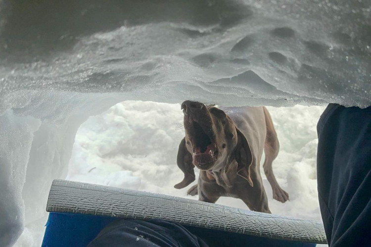 Cvičení kynologů hasičského záchranného sboru v Tatrách