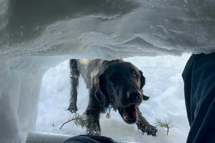 Cvičení kynologů hasičského záchranného sboru v Tatrách