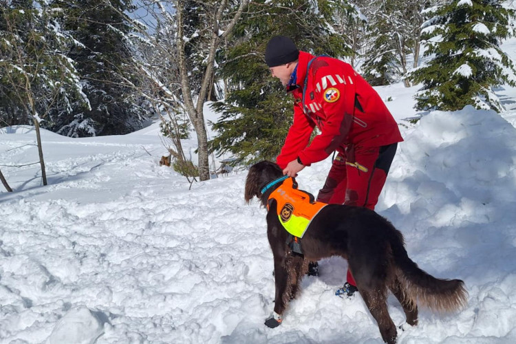 Cvičení kynologů hasičského záchranného sboru v Tatrách