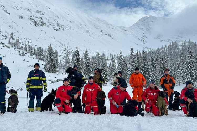 Cvičení kynologů hasičského záchranného sboru v Tatrách