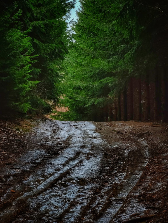 FOTOGALERIE: Tajemné a romantické okolí Valašských Kloubouků