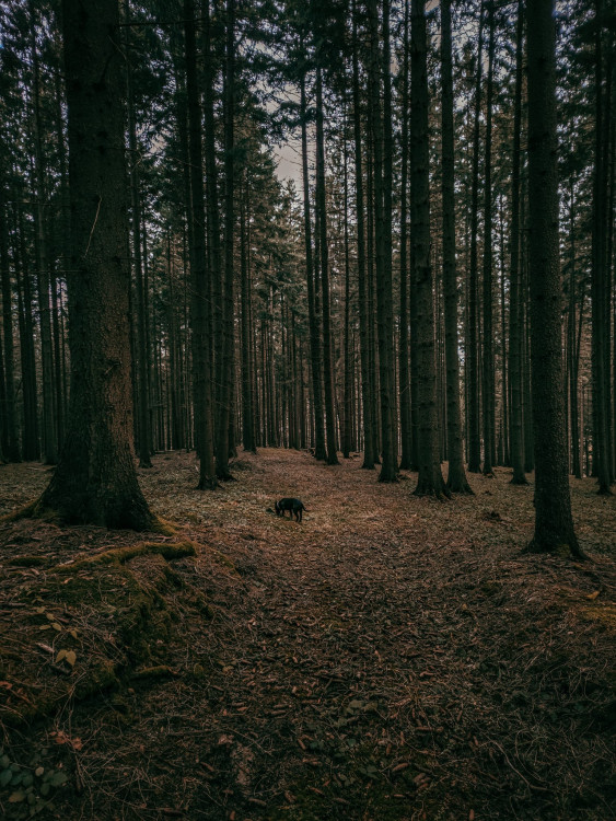 FOTOGALERIE: Tajemné a romantické okolí Valašských Kloubouků