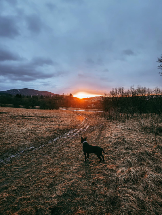 FOTOGALERIE: Tajemné a romantické okolí Valašských Kloubouků