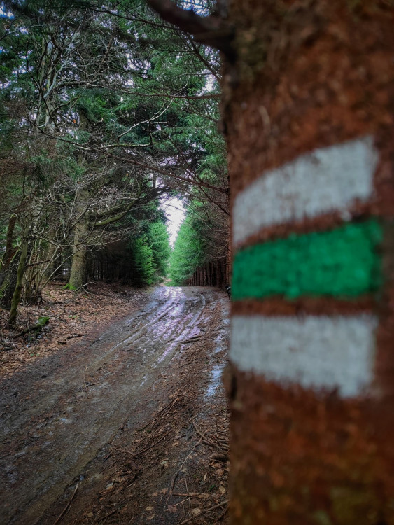 FOTOGALERIE: Tajemné a romantické okolí Valašských Kloubouků