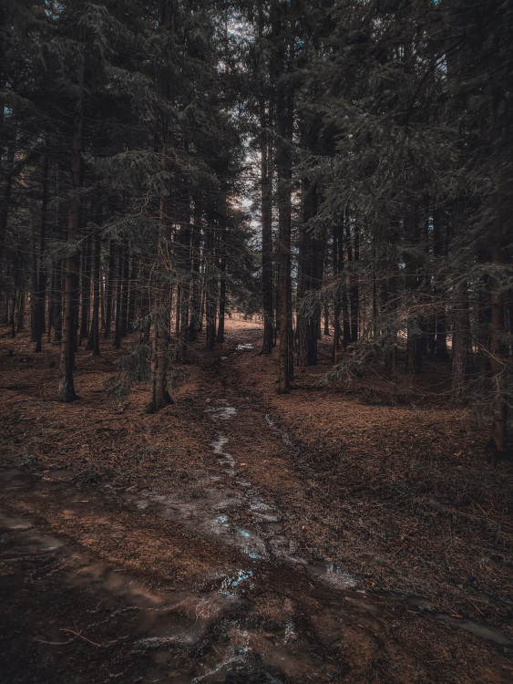 FOTOGALERIE: Tajemné a romantické okolí Valašských Kloubouků