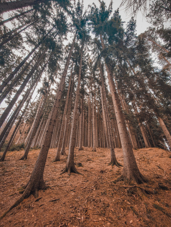 FOTOGALERIE: Tajemné a romantické okolí Valašských Kloubouků