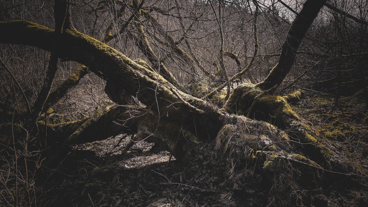 FOTOGALERIE: Malý a Velký Kozí Hřbet