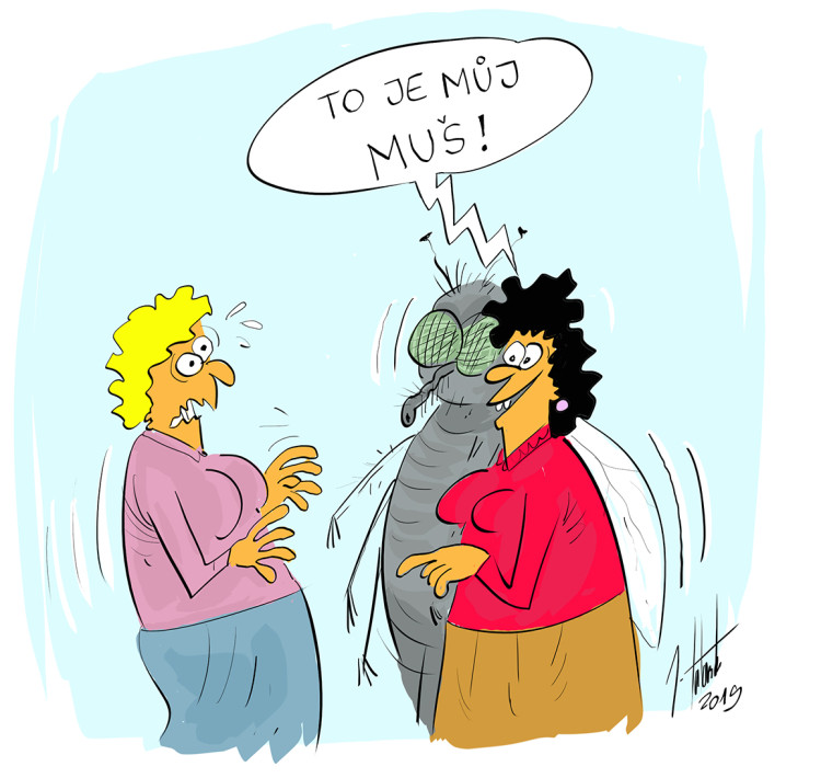 FOTOGALERIE: První v únoru středa, humoru a legrace je třeba