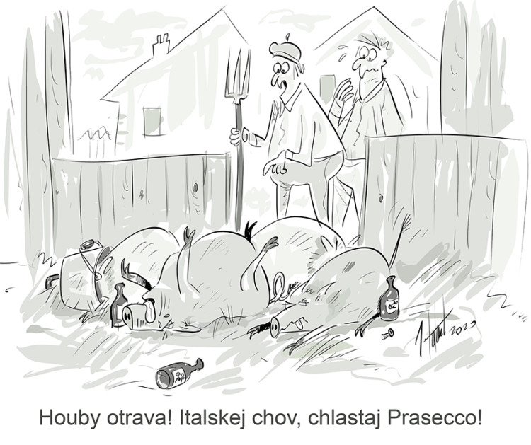 FOTOGALERIE: První v únoru středa, humoru a legrace je třeba