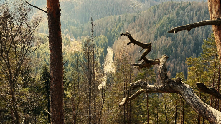 FOTOGALERIE: Dračí skály