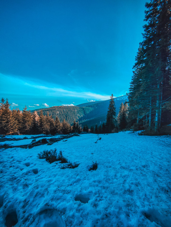 FOTOGALERIE: Jeseníky ukrývají tajemný vodní svět