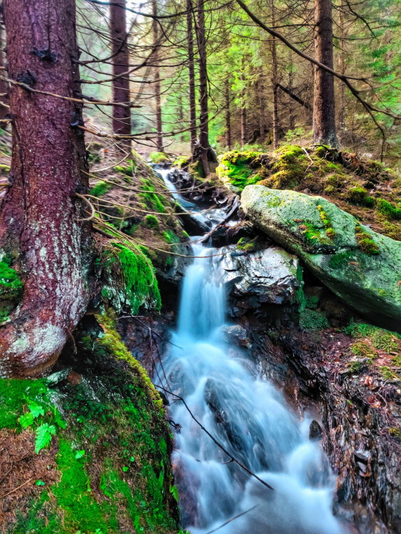 FOTOGALERIE: Jeseníky ukrývají tajemný vodní svět