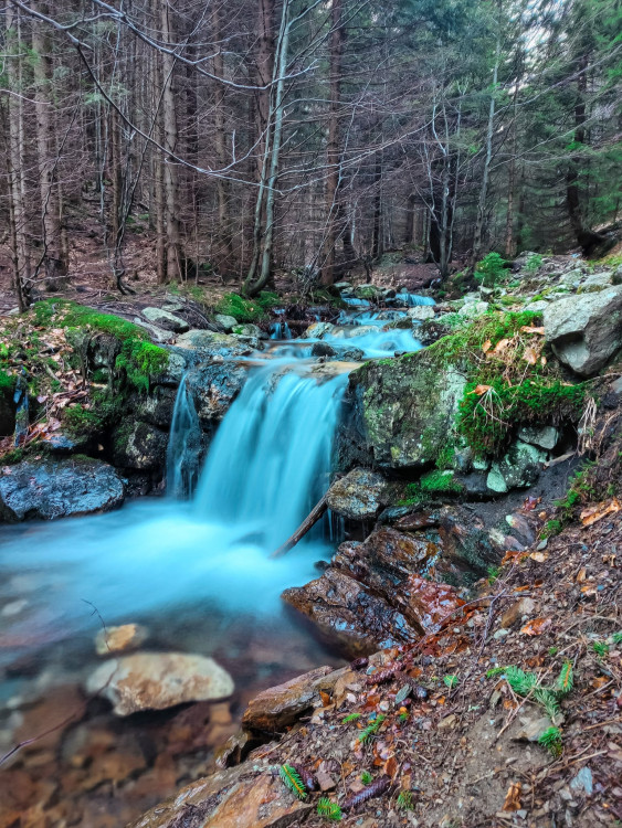 FOTOGALERIE: Jeseníky ukrývají tajemný vodní svět